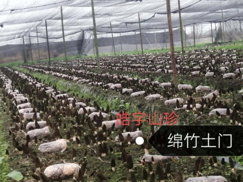 &#19975;&#35937;&#22478;&#22312;&#32447;&#45;&#19975;&#35937;&#22478;&#65288;&#20013;&#22269;&#65289;