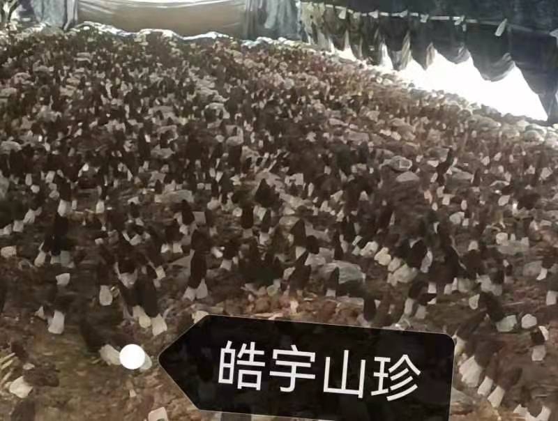 &#19975;&#35937;&#22478;&#22312;&#32447;&#45;&#19975;&#35937;&#22478;&#65288;&#20013;&#22269;&#65289;